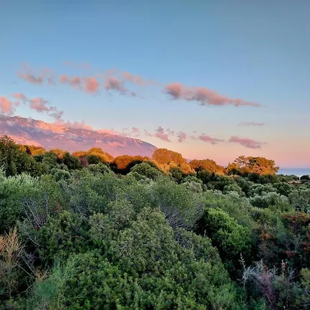 Вилла Dalmatia In Kefalonia Sea Views *